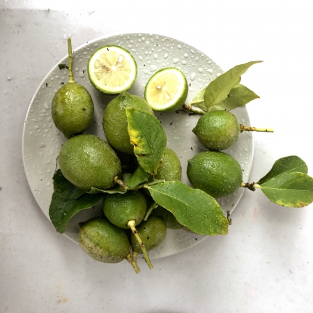 limes (1)